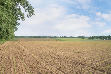Heiberg 40, 6436 CL, Amstenrade