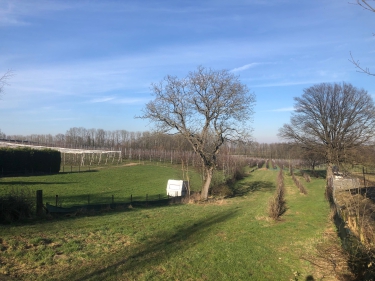 Klimmenderstraat ong, 6343 AE, Klimmen