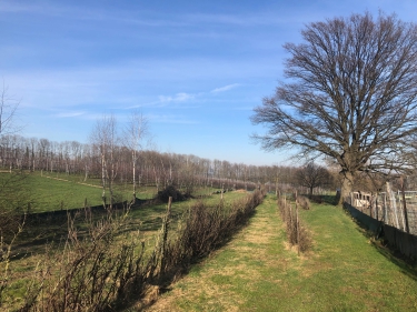Klimmenderstraat ong, 6343 AE, Klimmen