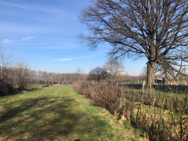 Klimmenderstraat ong, 6343 AE, Klimmen